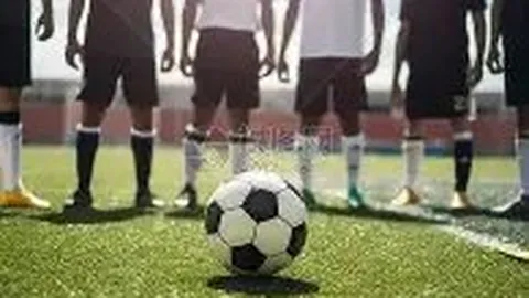 蛋仔派对与Lionbit联动揭晓