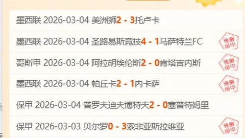 “女裁判边裁视角中的赛场瞬间，球员英姿尽显”